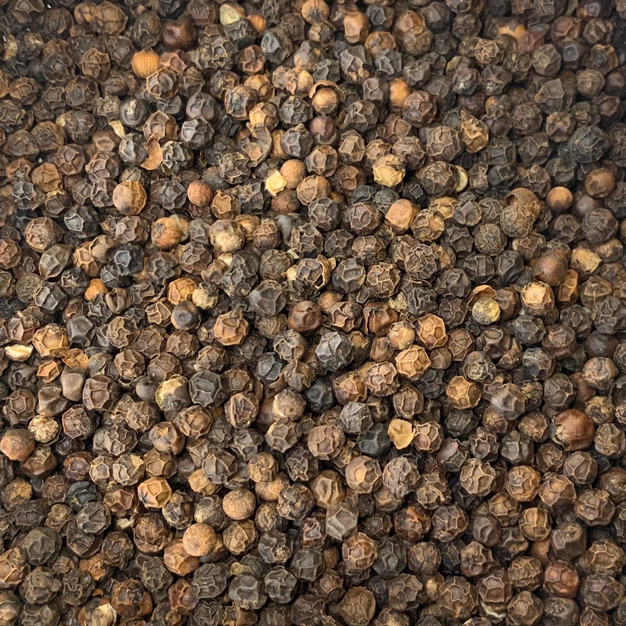 Where Does Black Pepper Come From? What is Black Peppercorn?