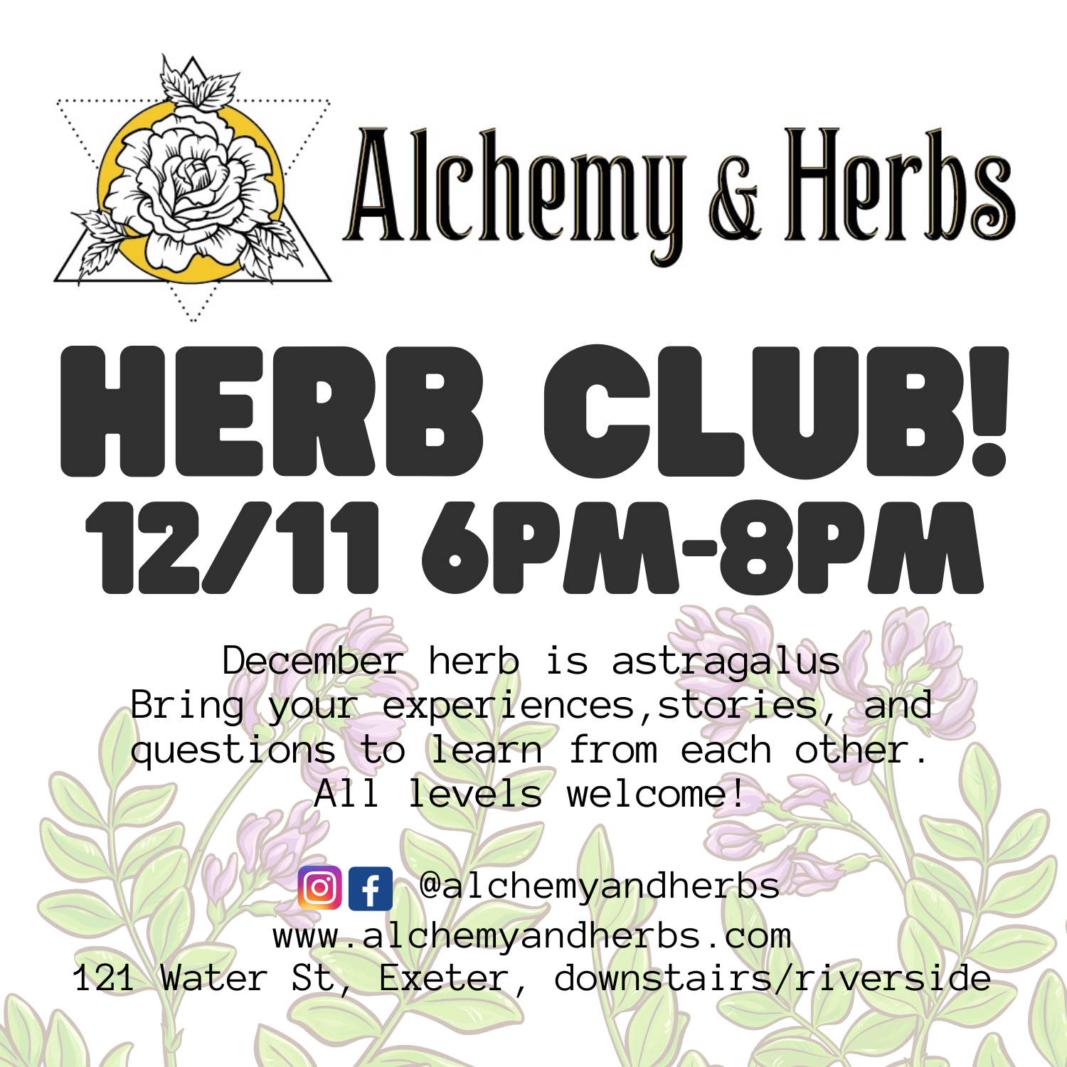 December Herb Club - Astragalus!