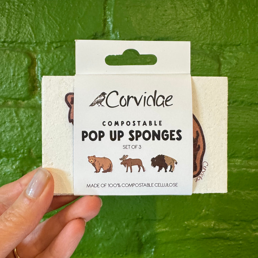 Compostable Pop-Up Sponges