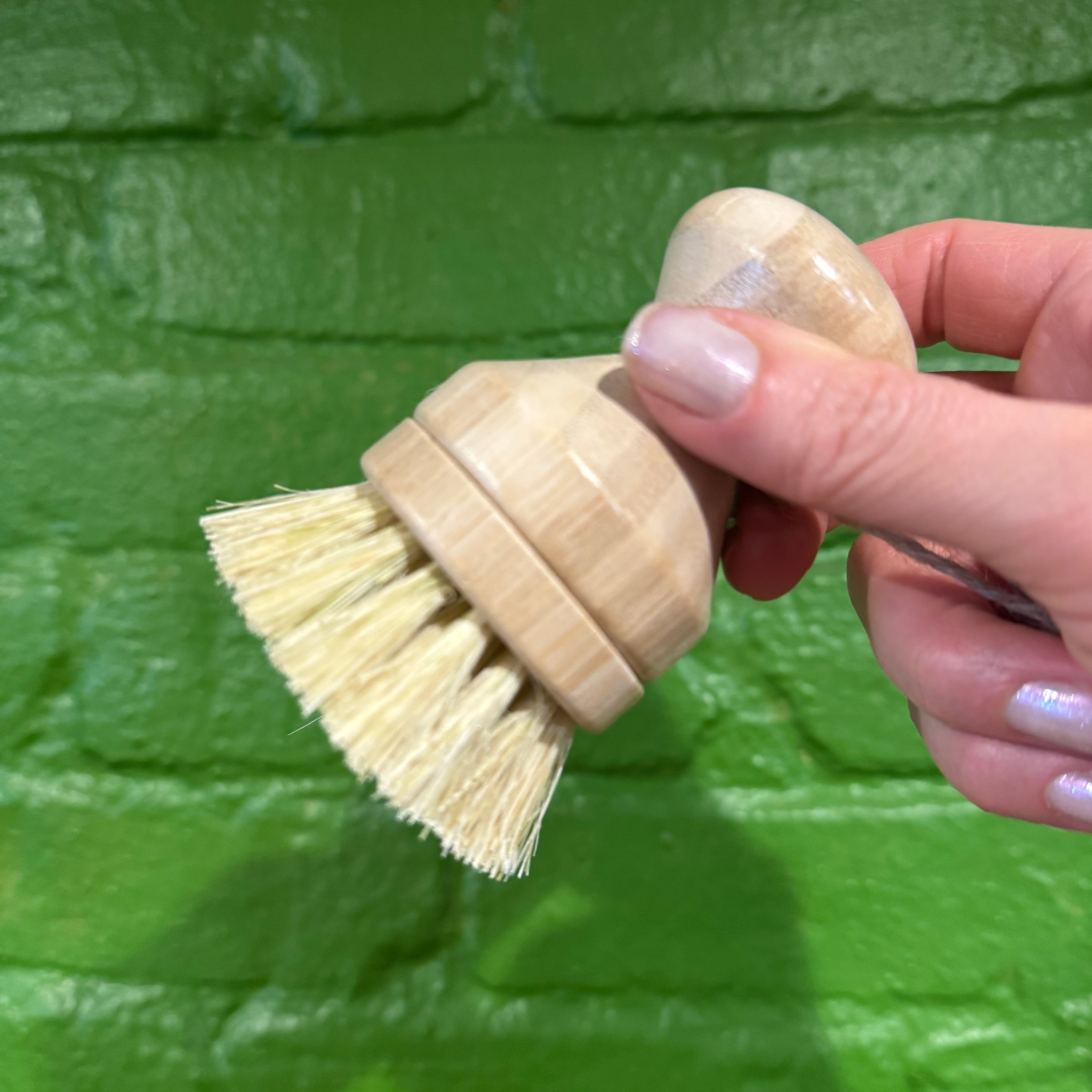 Kitchen Scrub Brush