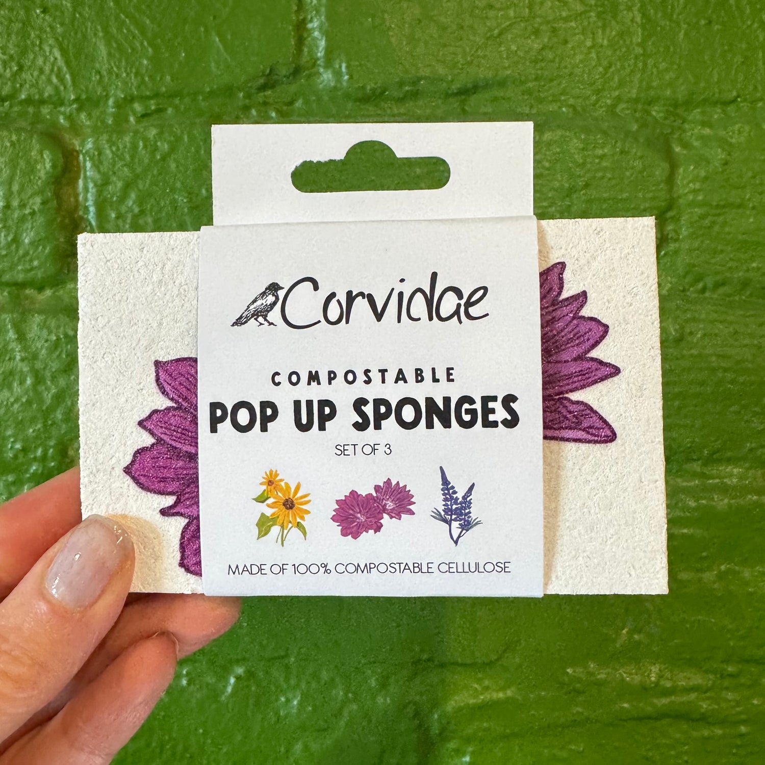 Compostable Pop-Up Sponges