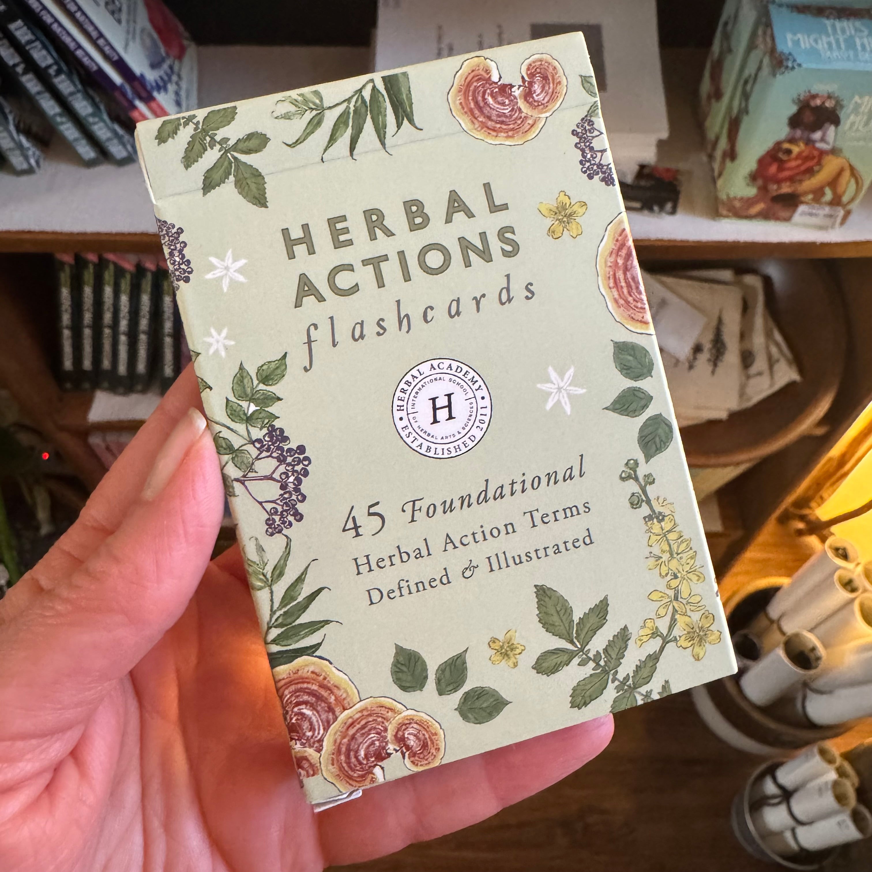 Herbal Action Flashcards